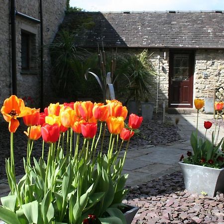 Birslack Grange Kendal Luaran gambar